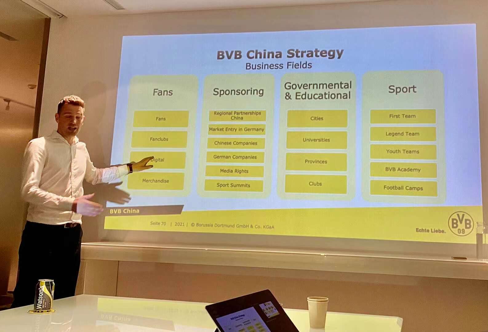 BVB Strategy China