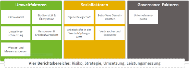 scherer2